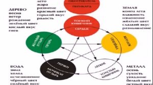 Лидия Пак Система Усин