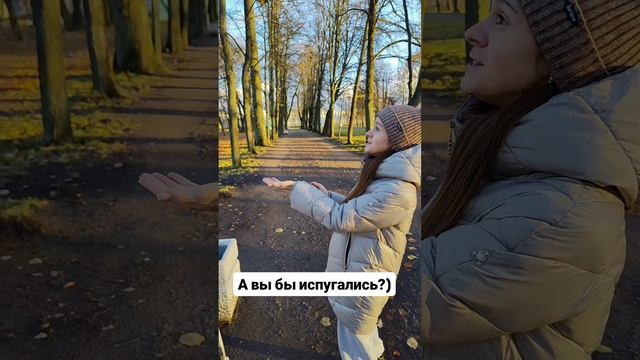 А вы бы испугались?