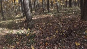 Старая локация -новые проблемы Борщево 2