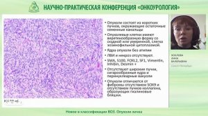 Новое в классификации ВОЗ  Опухоли яичка