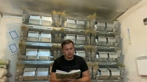 КРОЛИК ИЛИ ШИНШИЛЛА??? КОГО ВЫГОДНЕЕ ВЫРАЩИВАТЬ