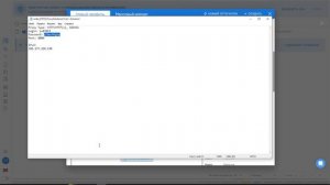 Антидетект бразер Дельфин
