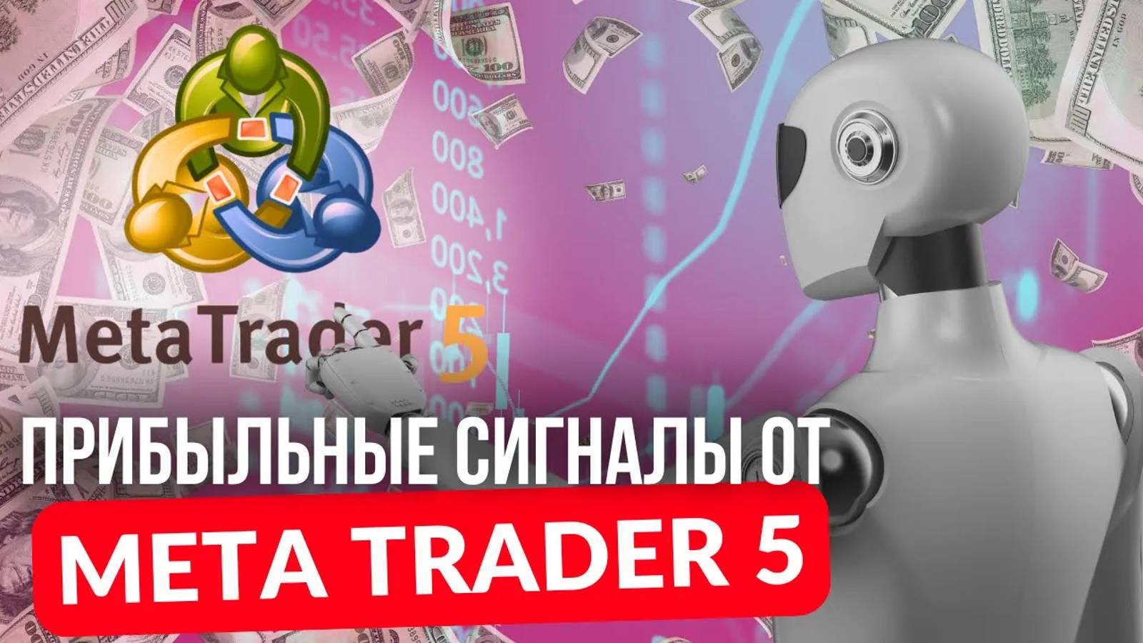 MetaTrader + Pocket Option: идеальная связка для успешной торговли нашим роботом