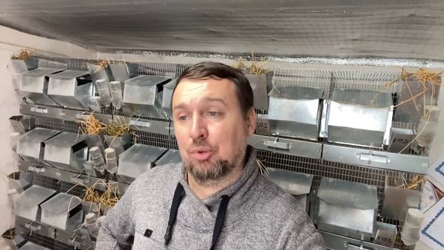 КАК Я РАБОТАЮ С ПОКУПАТЕЛЯМИ | СЕЛЬСКОЕ ХОЗЯЙСТВО | ЖИВОТНОВОДСТВО смотреть онлайн