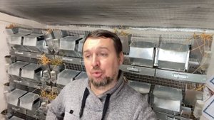 КАК Я РАБОТАЮ С ПОКУПАТЕЛЯМИ | СЕЛЬСКОЕ ХОЗЯЙСТВО | ЖИВОТНОВОДСТВО