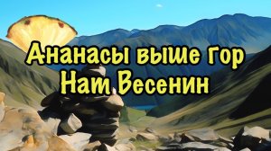 АНАНАСЫ ВЫШЕ ГОР. Нат Весенин. Читает Velvichia Wolf