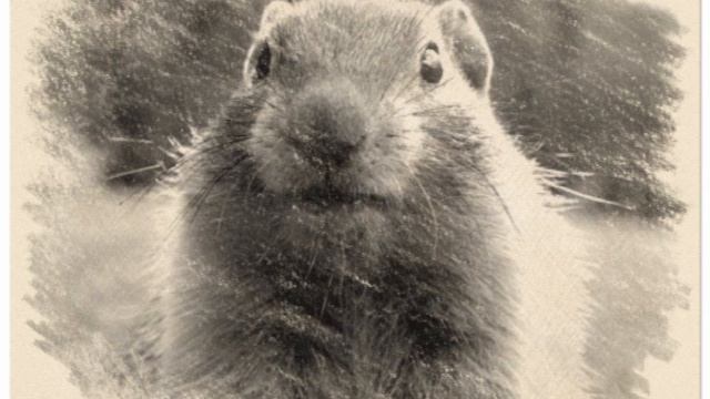 Доверие Авто слива полярности смотреть онлайн