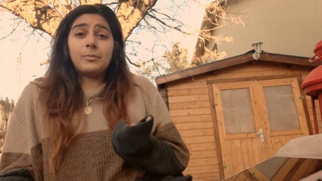 Vipassana 10 day meditation experience as a circus artist, Dec 2023 смотреть онлайн