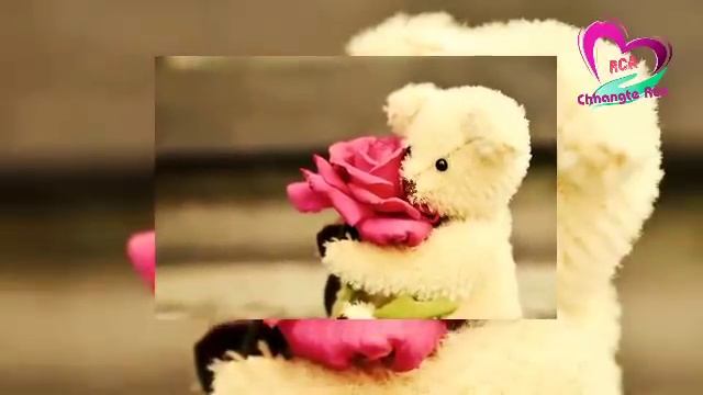 The Story of My Life - 4 || Ziaktu : Abbra Reo Ririni Khiangte Pitartei Sualfingi смотреть онлайн