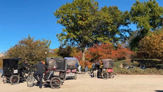 Осень Центральном парке. Нью-Йорк. Прогулка Алисы. смотреть онлайн