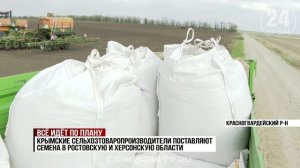 В Крыму посевная кампания озимых культур выполнена на 60%