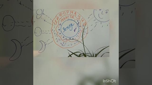 Хаос в голове  .Причины