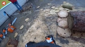 Самая большая в мире бензопила STIHL