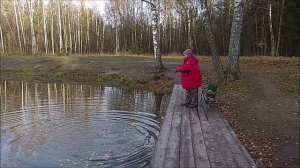 Рыбалка на нижнем. Клёвое место, Лосиный остров.