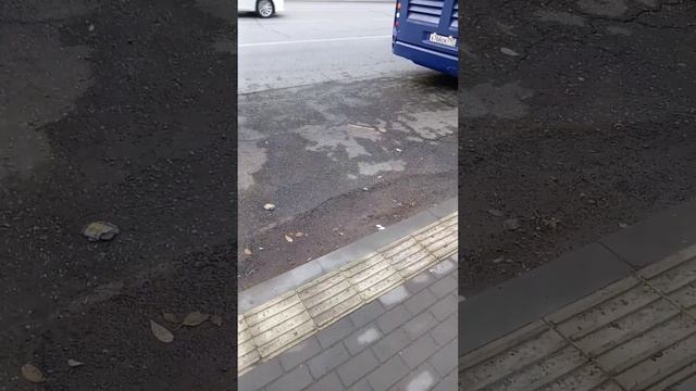 Кондуктор высадил инвалидов с автобуса Астрахань24