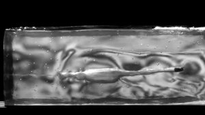 Баллистический гель GELATEXA G20 и пуля пистолета ПЛК 9х19 FMJ