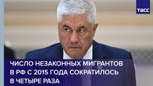 Число незаконных мигрантов в РФ с 2015 года сократилось в четыре раза