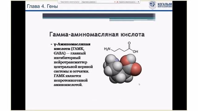 Мозг  Инструкция по применению