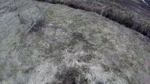 23.03.24 Весенняя ревизия дачного участка 2024