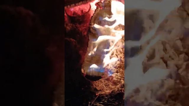 Новый ченнелинг смотреть онлайн