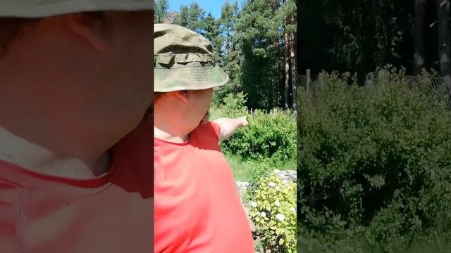 У матушки на даче.