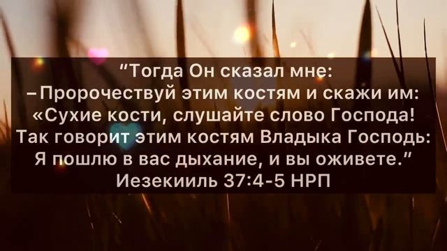*ДНК Бога в тебе*ПРЕОБРАЖЕНИЕ в ЕГО ОБРАЗ и ПОДОБИЕ**(Молитва) (из книги Майкла Парсон)