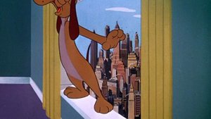 05.Porosenok.Porki.i.sirota