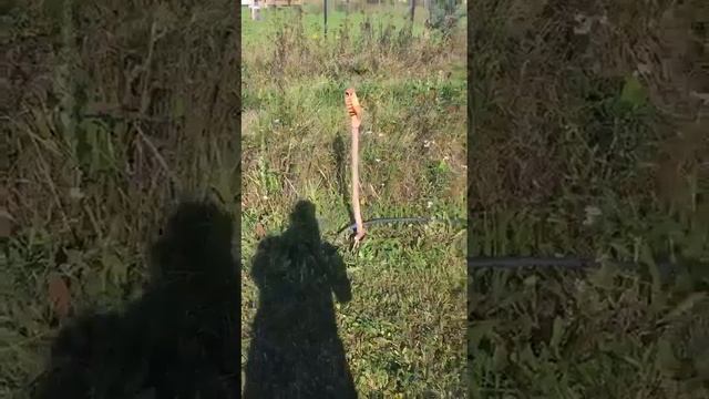 Вот и чистенькая пошла.