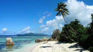 Южное танго avi 186 мб