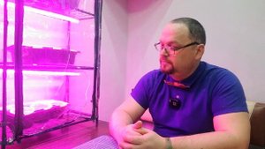 17 03 22  минитеплица на подоконник