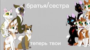 баттл с Лисьей звездой^^