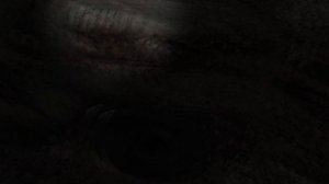 S.T.A.L.K.E.R. История Борланда.Пролог - В западне, найти способ выбраться из туннеля