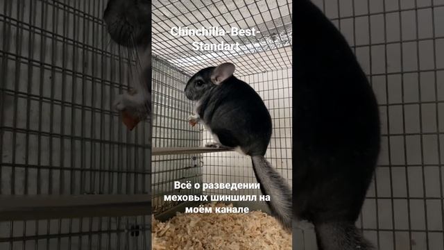 Сельское хозяйство смотреть онлайн