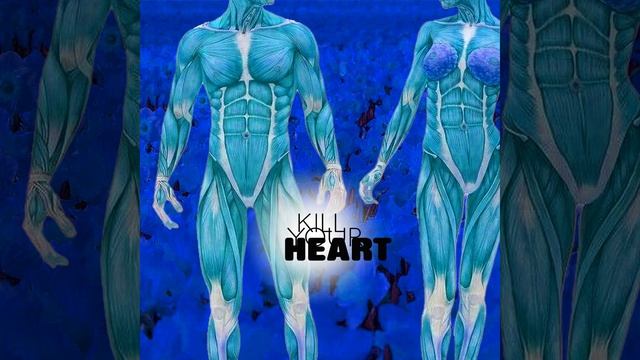 The Stalker смотреть онлайн