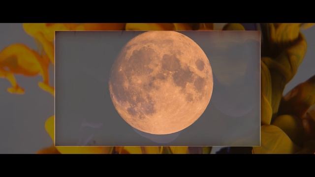 VIPASSANA - Guided Vipassana Meditation (15 Minutes)