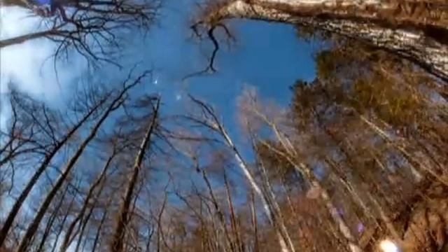 Обман восприятия человеческого зрения.