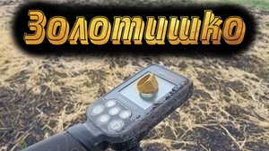 Фальшивое золото.