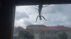 Анапа вид из окна сегодня
