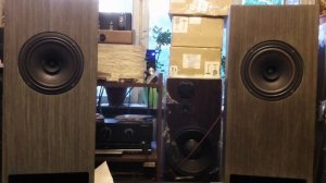 Ноэма 100гдш65.8 Фланкер тест звучания на ЗУМ Электроника