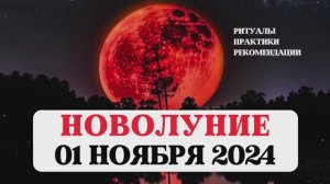 ПРАКТИКИ И РИТУАЛЫ В НОВОЛУНИЕ, РЕКОМЕНДАЦИИ ВСЕМ ЗНАКАМ, АСТРОЛОГИЯ, ЛУННАЯ МАГИЯ,ЛУНА В СКОРПИОНЕ