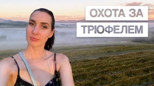 Почему ТРЮФЕЛИ такие ДОРОГИЕ? Собираем эти деликатесы на ферме в Австралии