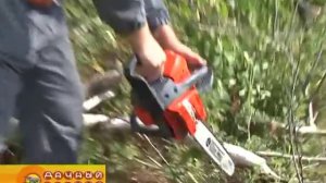 Работаем бензопилой