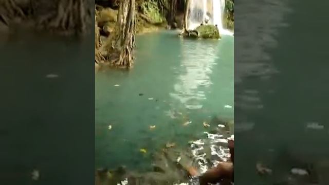 Thailand , Erawan Waterfalls, fish eat skin