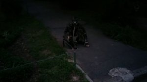 Снорк в зоопарке