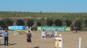 Чемпионат по конному спорту