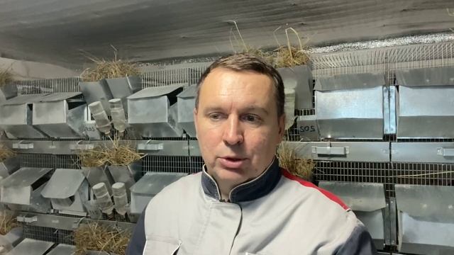 ПОДНИМАЮ ЦЕНЫ НА ПОГОЛОВЬЕ | ПОГОЛОВЬЯ НА ПРОДАЖУ НЕТ | СЕЛЬСКОЕ ХОЗЯЙСТВО смотреть онлайн