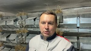ПОДНИМАЮ ЦЕНЫ НА ПОГОЛОВЬЕ | ПОГОЛОВЬЯ НА ПРОДАЖУ НЕТ | СЕЛЬСКОЕ ХОЗЯЙСТВО