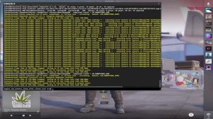 CS2 crashing fix for AMD GPUs using vulkan API. WORKS IN 2024.