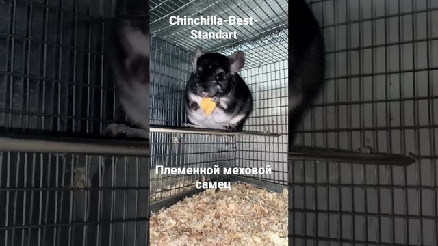Сельское хозяйство смотреть онлайн