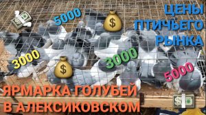 Цены птичьего рынка на голубей. Осенняя ежегодная ярмарка голубей в Новониколаевском.